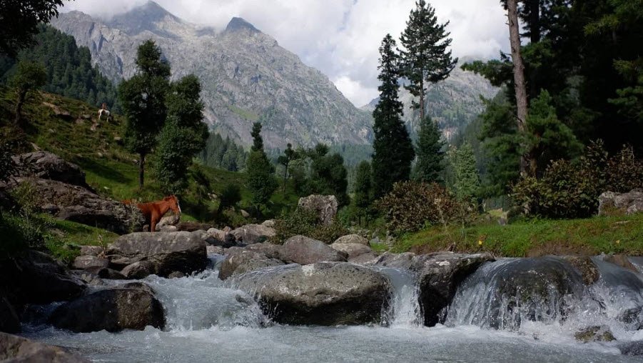 Baltal Thajwas Wildlife Sanctuary